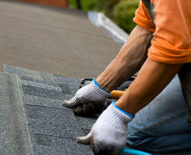 Best Roof Gutter Cleaning  in Silver City, NM